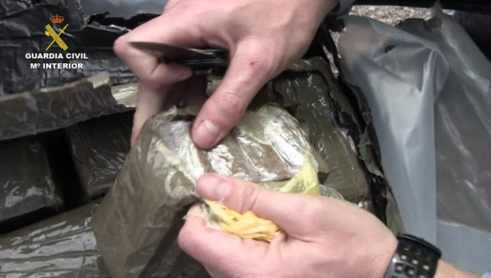 2.200 kilos de hachís incautados por la Guardia Civil camuflados como acelgas