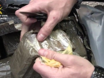  2.200 kilos de hachís incautados por la Guardia Civil camuflados como acelgas