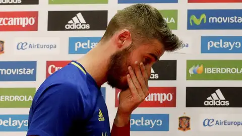David de Gea David de Gea