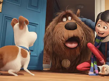 Max recibe a su dueña...que trae una sorpresa Max recibe a su dueña...que trae una sorpresa