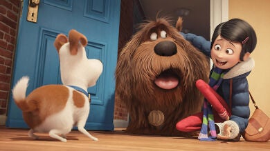 Max, Bridget, Chloe... Conoce a los adorables protagonistas de 'Mascotas'
