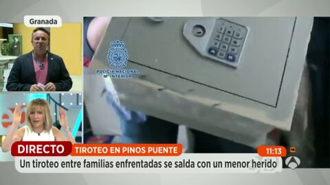 Frame 17.468712 de: pinos