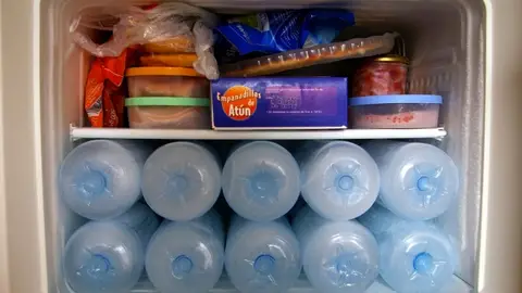 Saca provecho a tu congelador Saca provecho a tu congelador