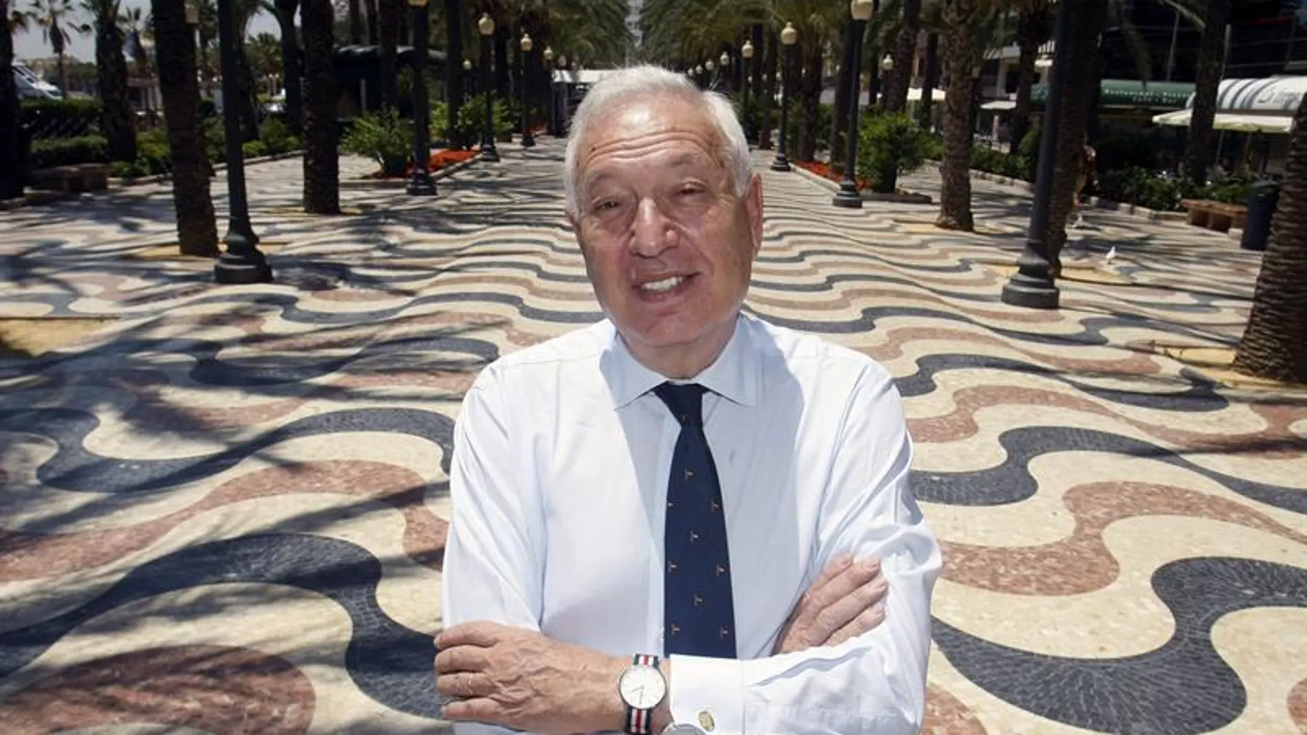 El ministro de Asuntos Exteriores en funciones, José Manuel García-Margallo. El ministro de Asuntos Exteriores en funciones, José Manuel García-Margallo.