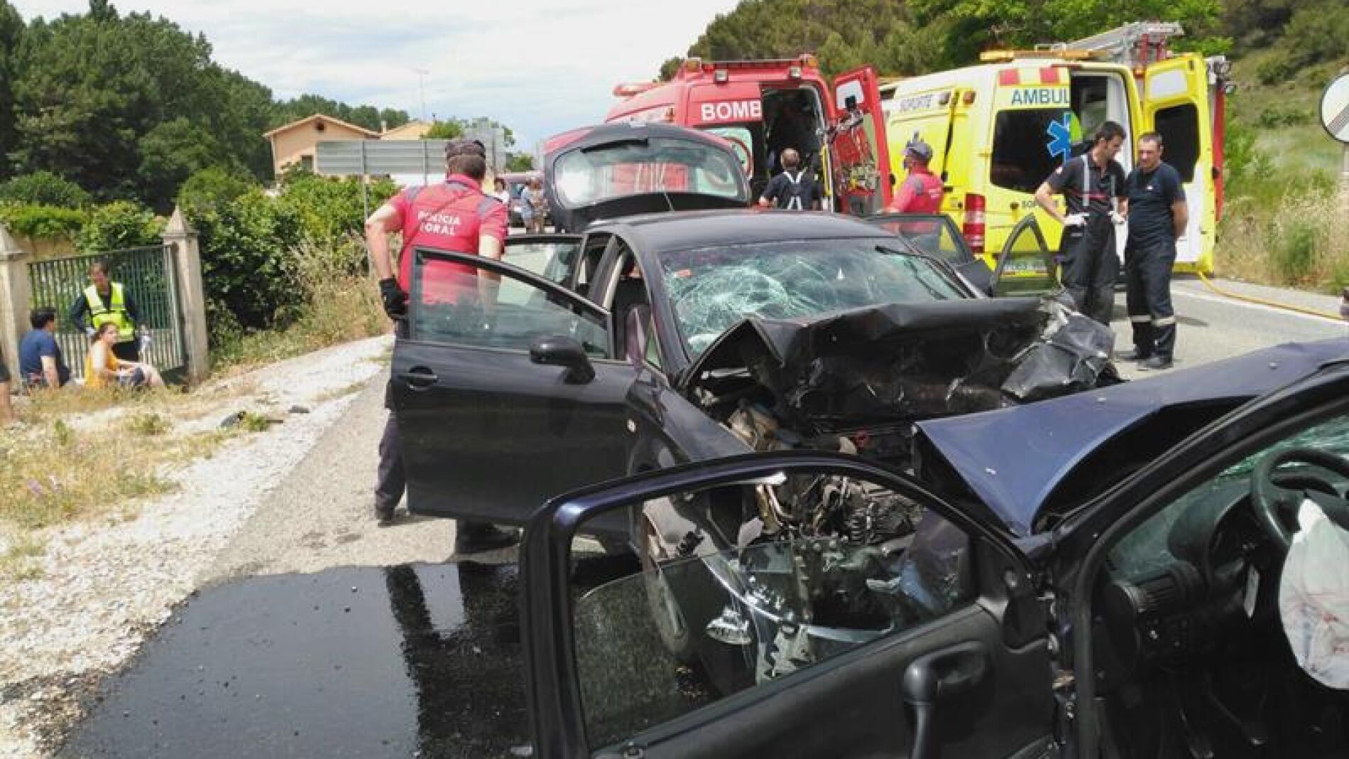 Agentes de la Polic&iacute;a Foral y miembros del cuerpo de Bomberos de Navarra trabajan en un accidente en la N121 este domingo.