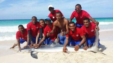 Muere un tiburón en Punta Cana después de que unos turistas le sacaran del mar para hacerse una foto