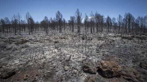 As&iacute; ha quedado Carcaixent tras el incendio