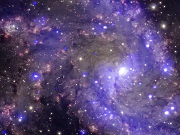 Universo Universo