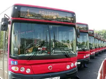Autobuses del Tussam Autobuses del Tussam