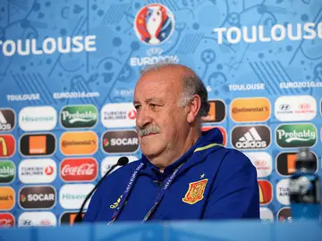 Vicente Del Bosque en diálogo con los medios de comunicación en Toulouse Vicente Del Bosque en diálogo con los medios de comunicación en Toulouse