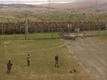 'The girl withh all the gifts' 'The girl withh all the gifts'