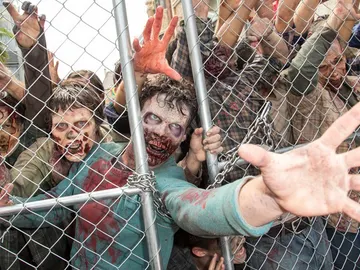 The Walking Dead The Walking Dead