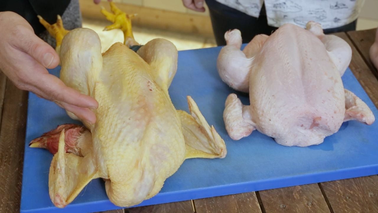 cocinamos-pollo-normal-y-pollo-ecol-gico-estas-son-las-diferencias