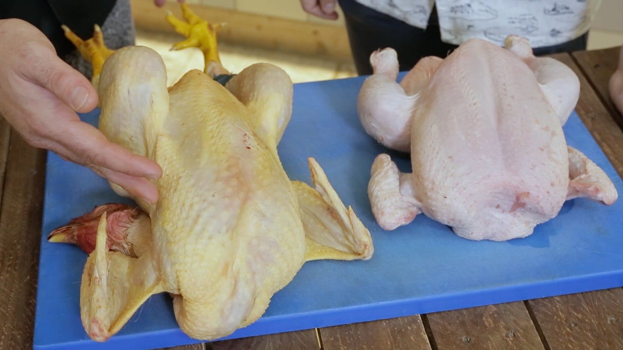 Cocinamos Pollo Normal Y Pollo Ecol gico Estas Son Las Diferencias cocinamos-pollo-normal-y-pollo-ecol-gico-estas-son-las-diferencias