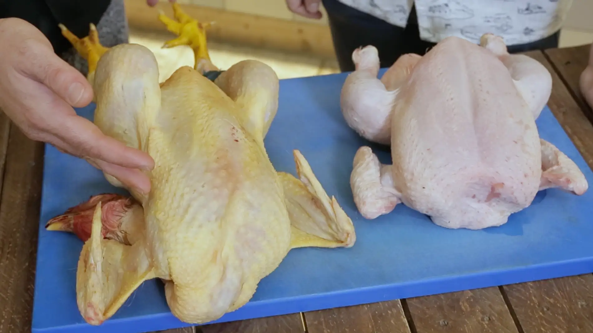 Pollo ecológico vs. pollo normal