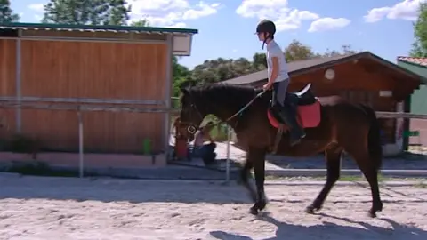 Sesiones de equinoterapia Sesiones de equinoterapia