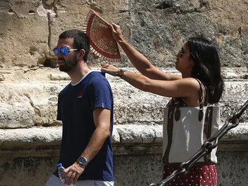 Abanica a su compañero ante las altas temperaturas Abanica a su compañero ante las altas temperaturas
