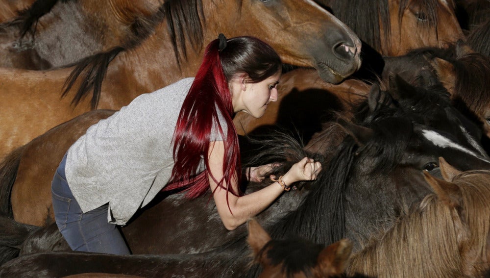 'A Rapa das Bestas' en Pontevedra