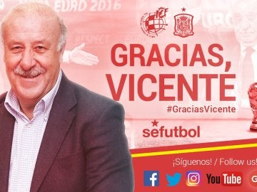 Del Bosque abandona la Roja