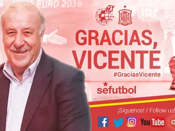 Del Bosque abandona la Roja Del Bosque abandona la Roja