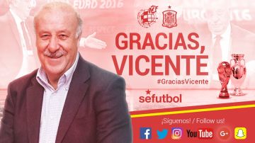 Del Bosque abandona la Roja