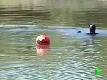 Los buzos rescatando el micro de Cristiano Los buzos rescatando el micro de Cristiano