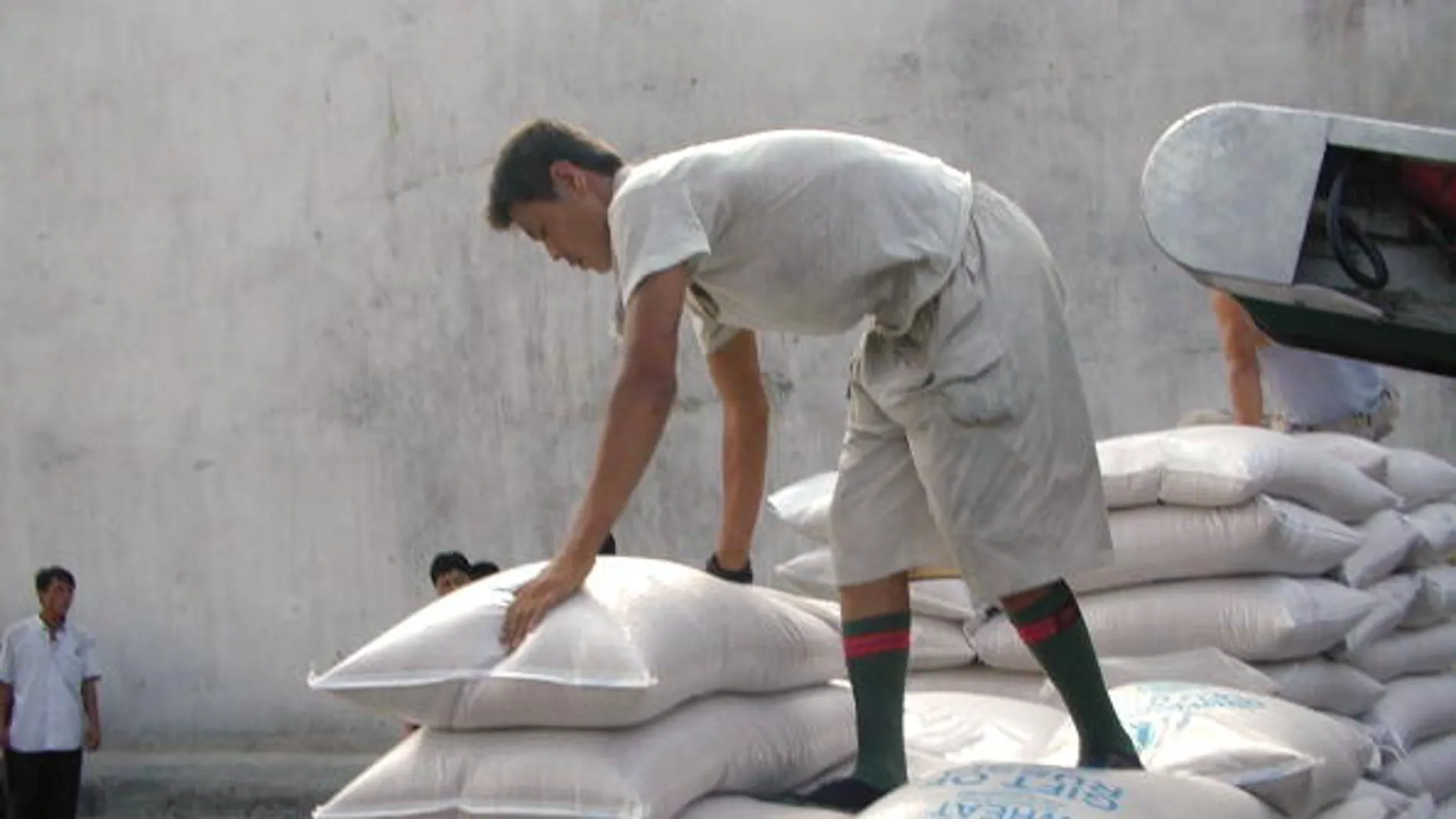 Un norcoreano trabajando en Rusia Un norcoreano trabajando en Rusia