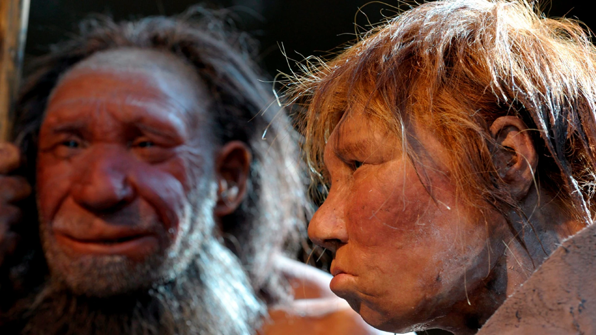 Representación de neandertales Representación de neandertales