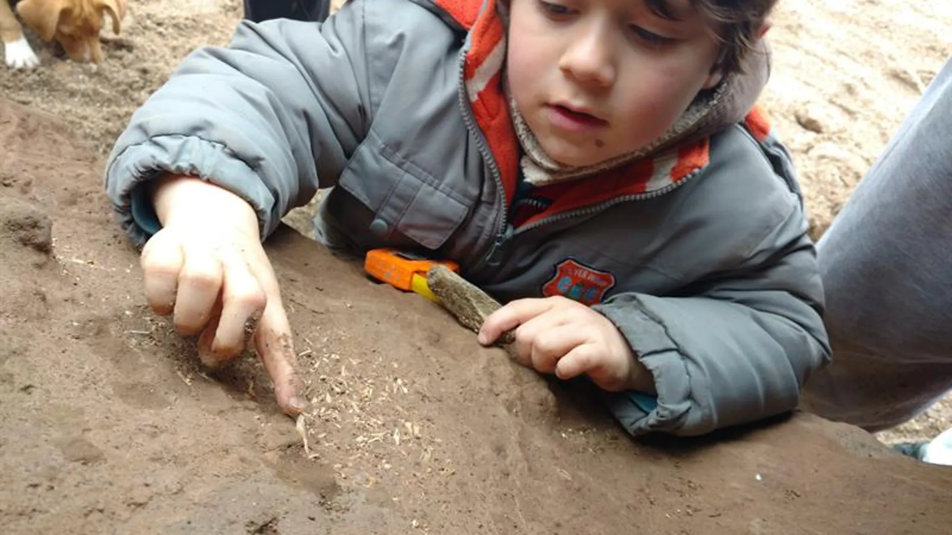 El pequeño posa con uno de los fósiles. El pequeño posa con uno de los fósiles.