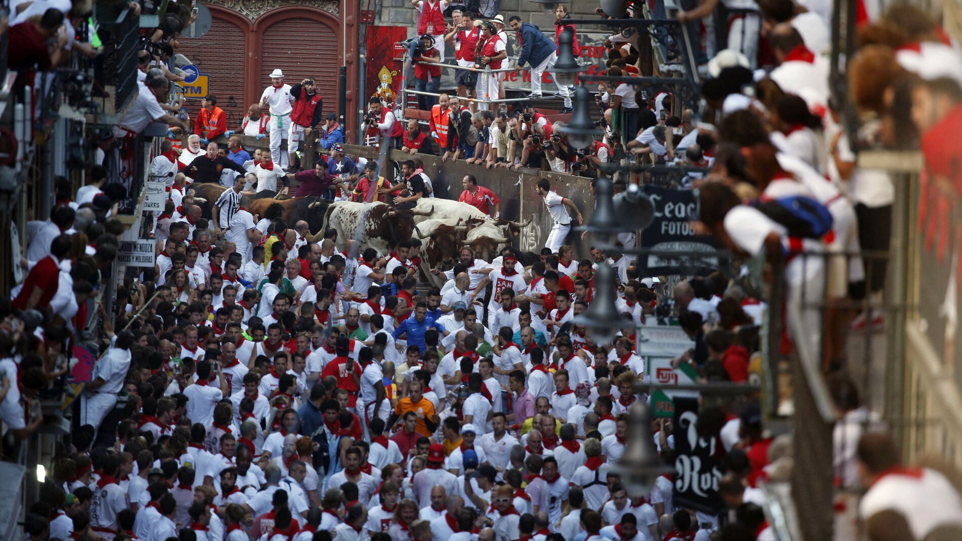  Una manada de toros de la ganader&iacute;a gaditana de Fuente Ymbro