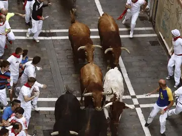 Los toros de la ganadería de Jandilla, en Pamplona. Los toros de la ganadería de Jandilla, en Pamplona.