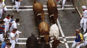 Los toros de la ganadería de Jandilla, en Pamplona.