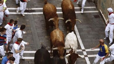 Carrera limpia a gran velocidad de los astados de Jandilla en San Fermín
