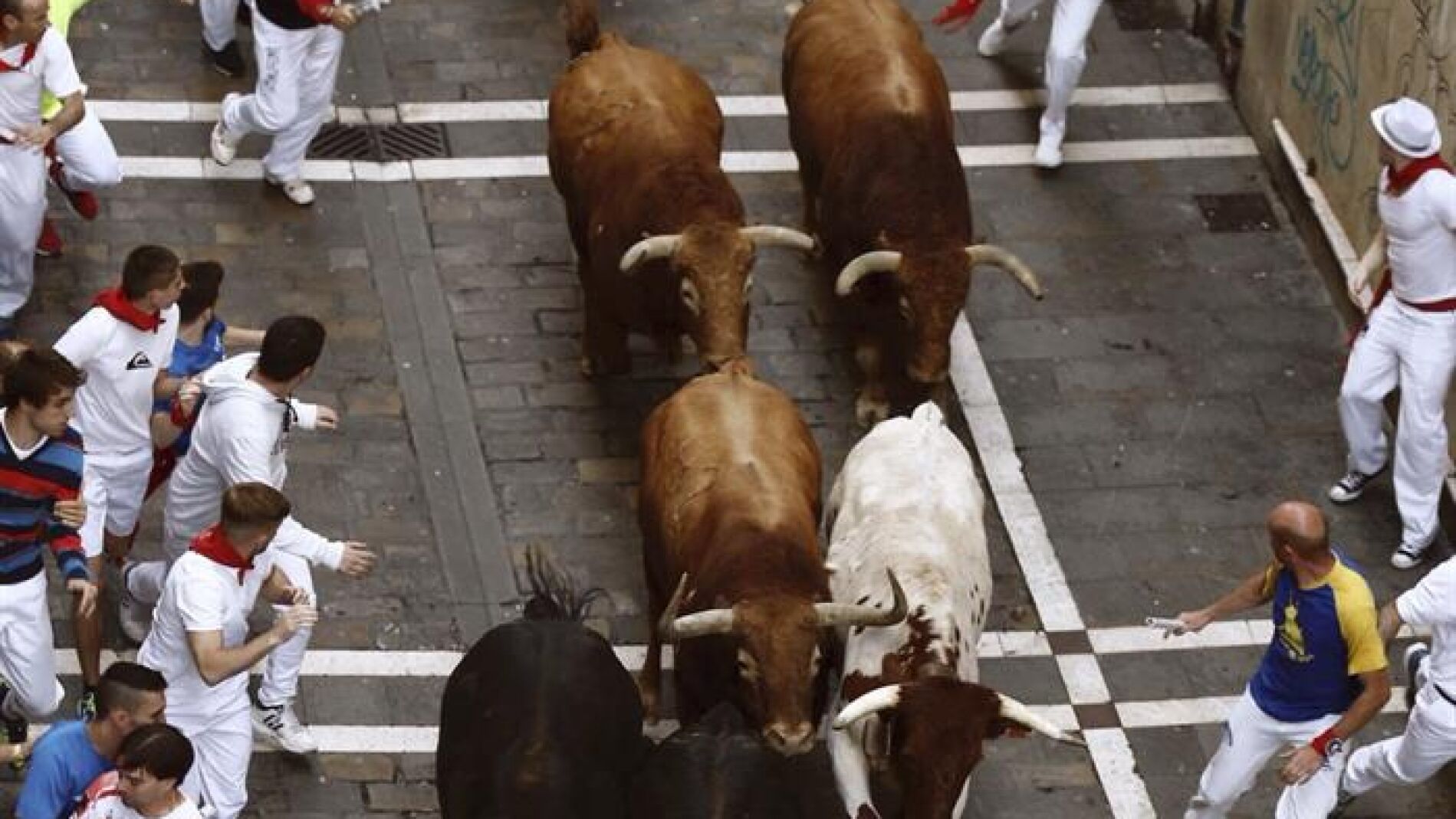 Los toros de la ganader&iacute;a de Jandilla, en Pamplona.