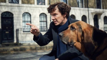 Sherlock