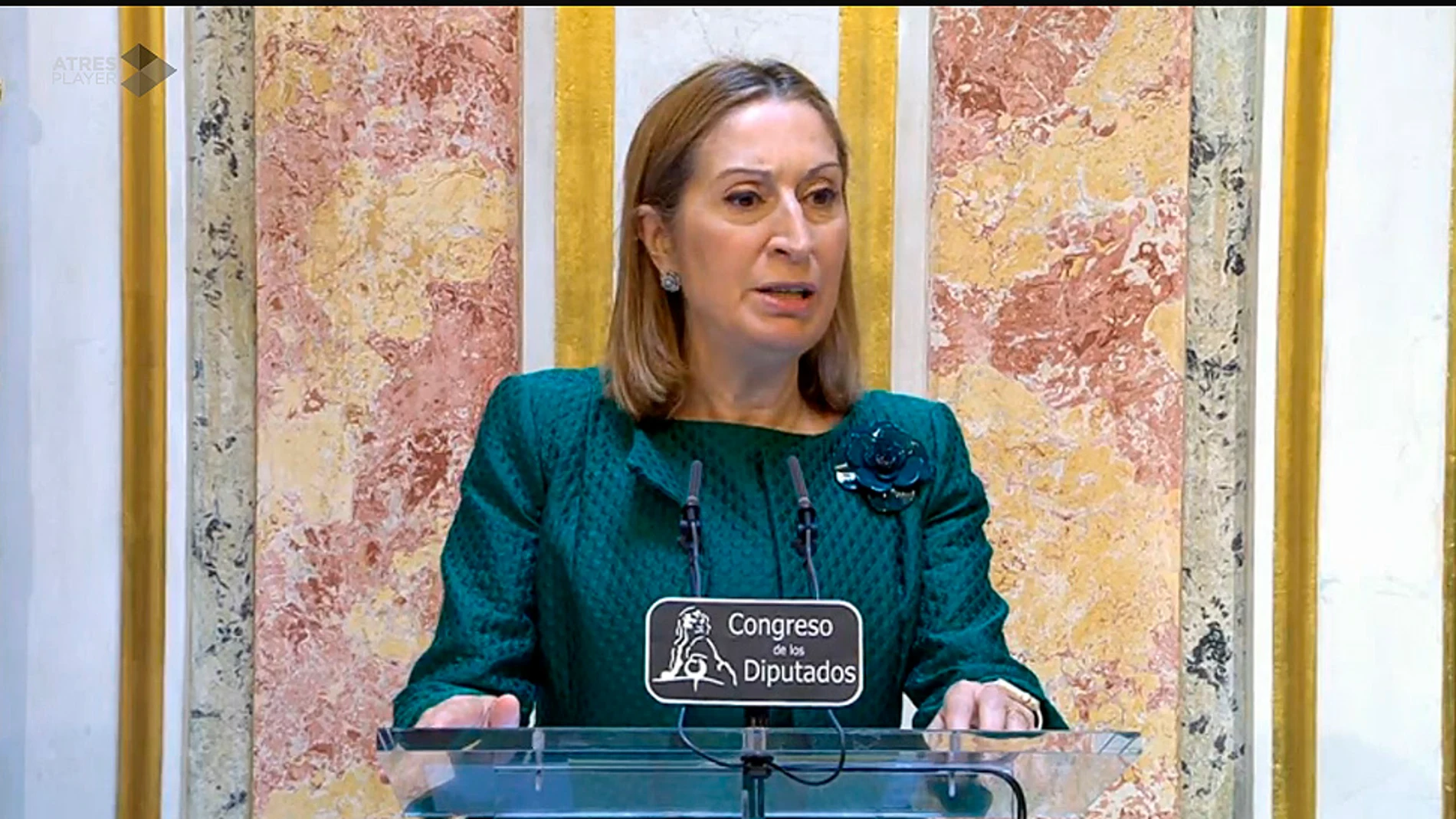 Ana Pastor en su comparecencia en el Congreso. Ana Pastor en su comparecencia en el Congreso.