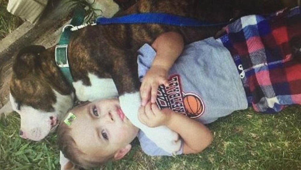 El niño junto a su perro