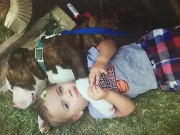 El niño junto a su perro El niño junto a su perro