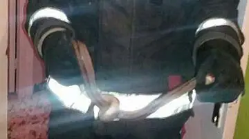 Los bomberos capturan a una serpiente en Zaragoza Los bomberos capturan a una serpiente en Zaragoza