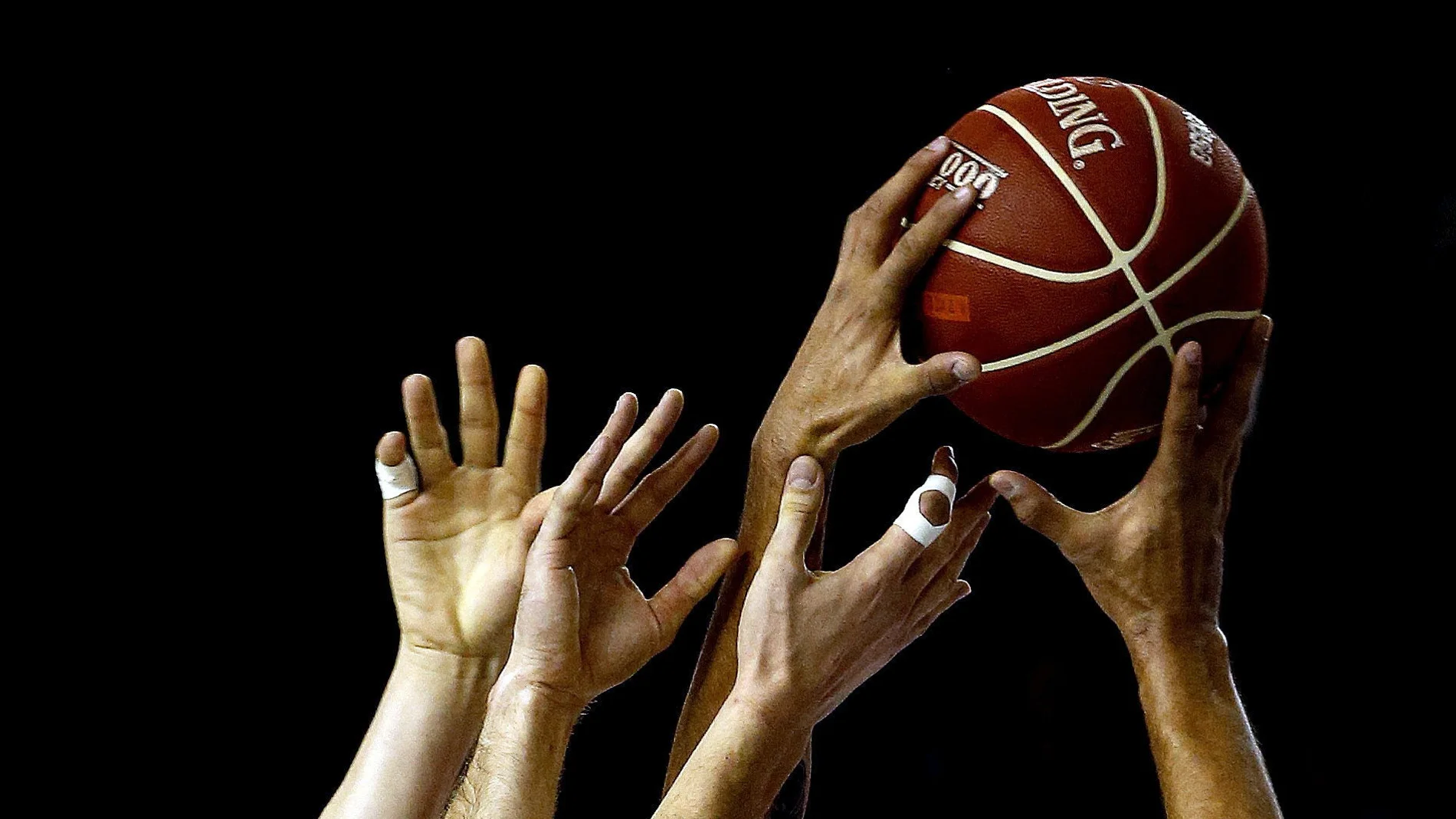 Palencia y Melilla renunciar a jugar en la ACB Palencia y Melilla renunciar a jugar en la ACB
