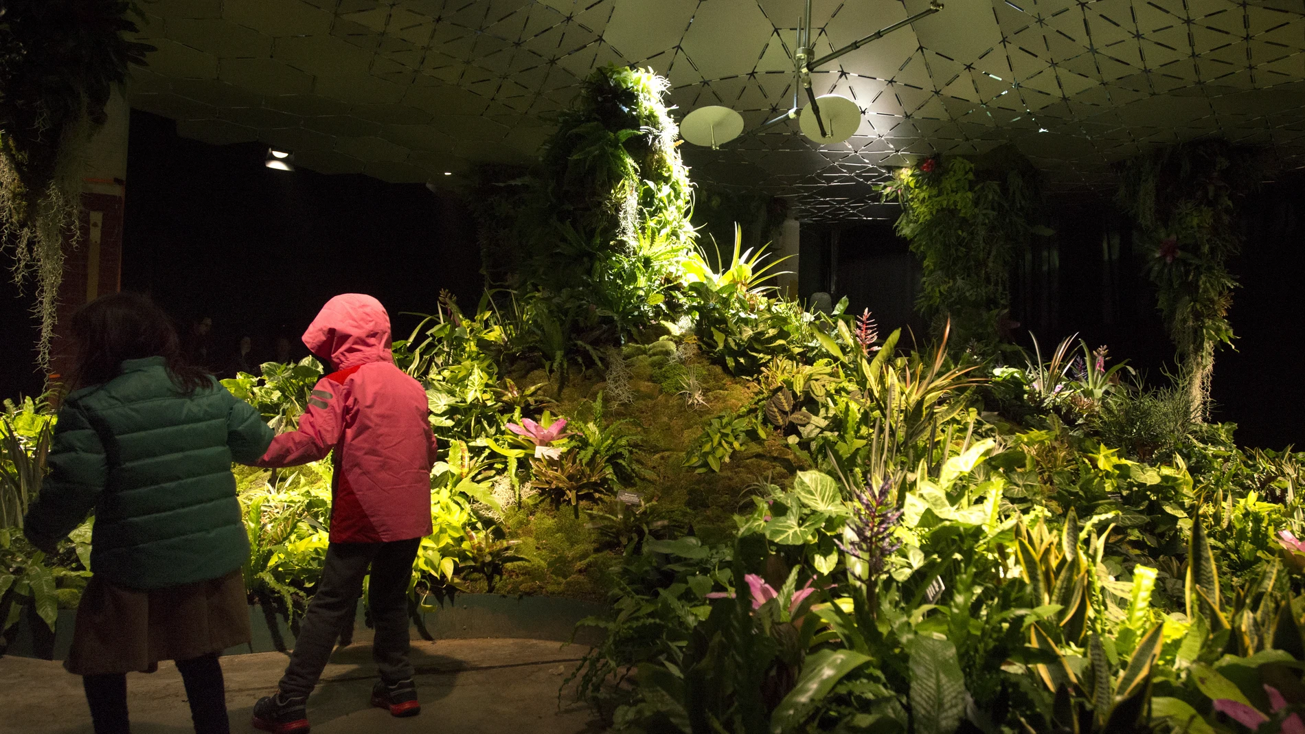 Lowline Lab, parque subterráneo piloto Lowline Lab, parque subterráneo piloto