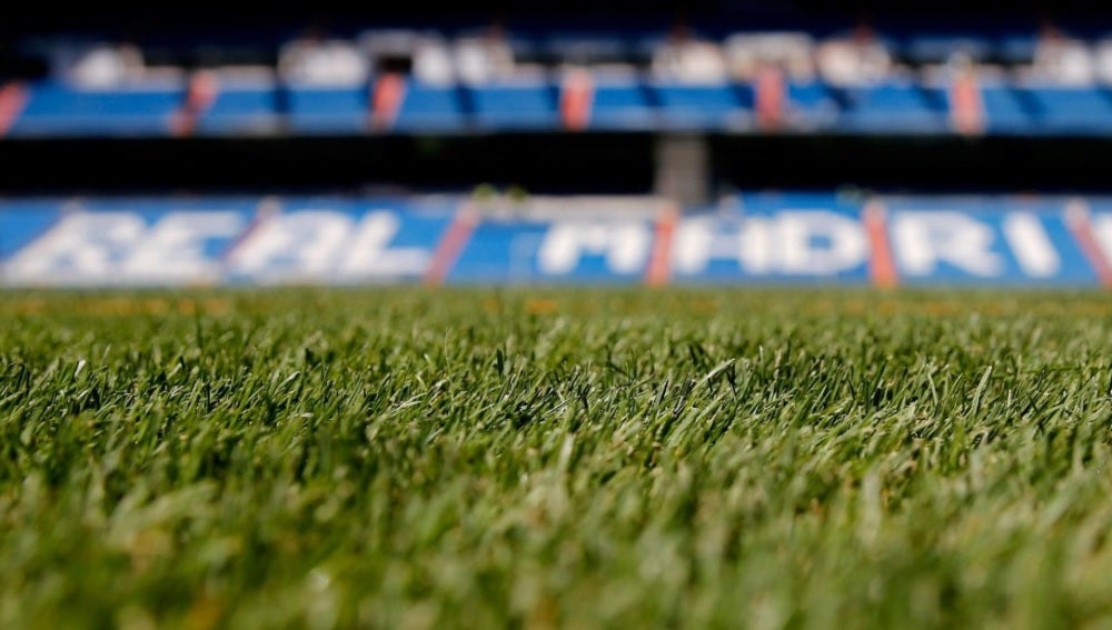 El Berbabéu estrenará césped esta temporada