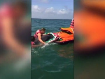 Frame 20.252705 de: Desesperado rescate de un delfín en aguas de Valencia