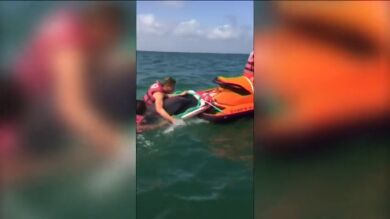 Desesperado rescate de un delfín en aguas de Valencia