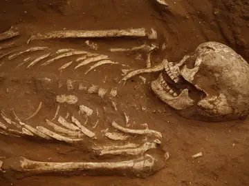 Imagen de archivo de un esqueleto humano Imagen de archivo de un esqueleto humano