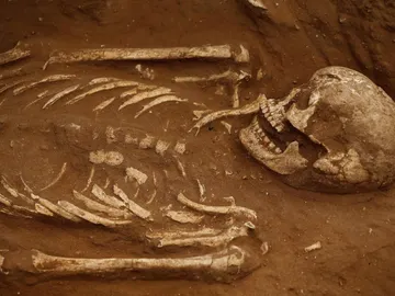 Imagen de archivo de un esqueleto humano Imagen de archivo de un esqueleto humano