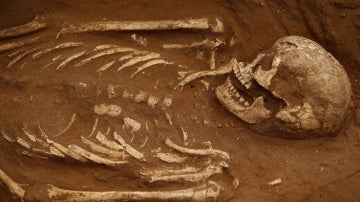 Imagen de archivo de un esqueleto humano