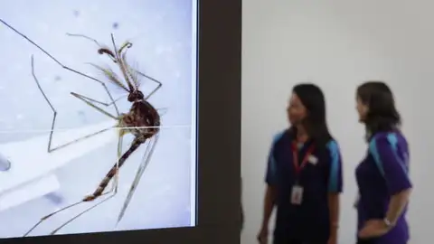 Fotografía microscópica Fotografía microscópica