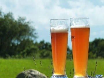 10 curiosidades sobre la cerveza que quizá no conocías