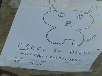 El dibujo de la mascota perdida que hicieron los dos pequeños propietarios El dibujo de la mascota perdida que hicieron los dos pequeños propietarios